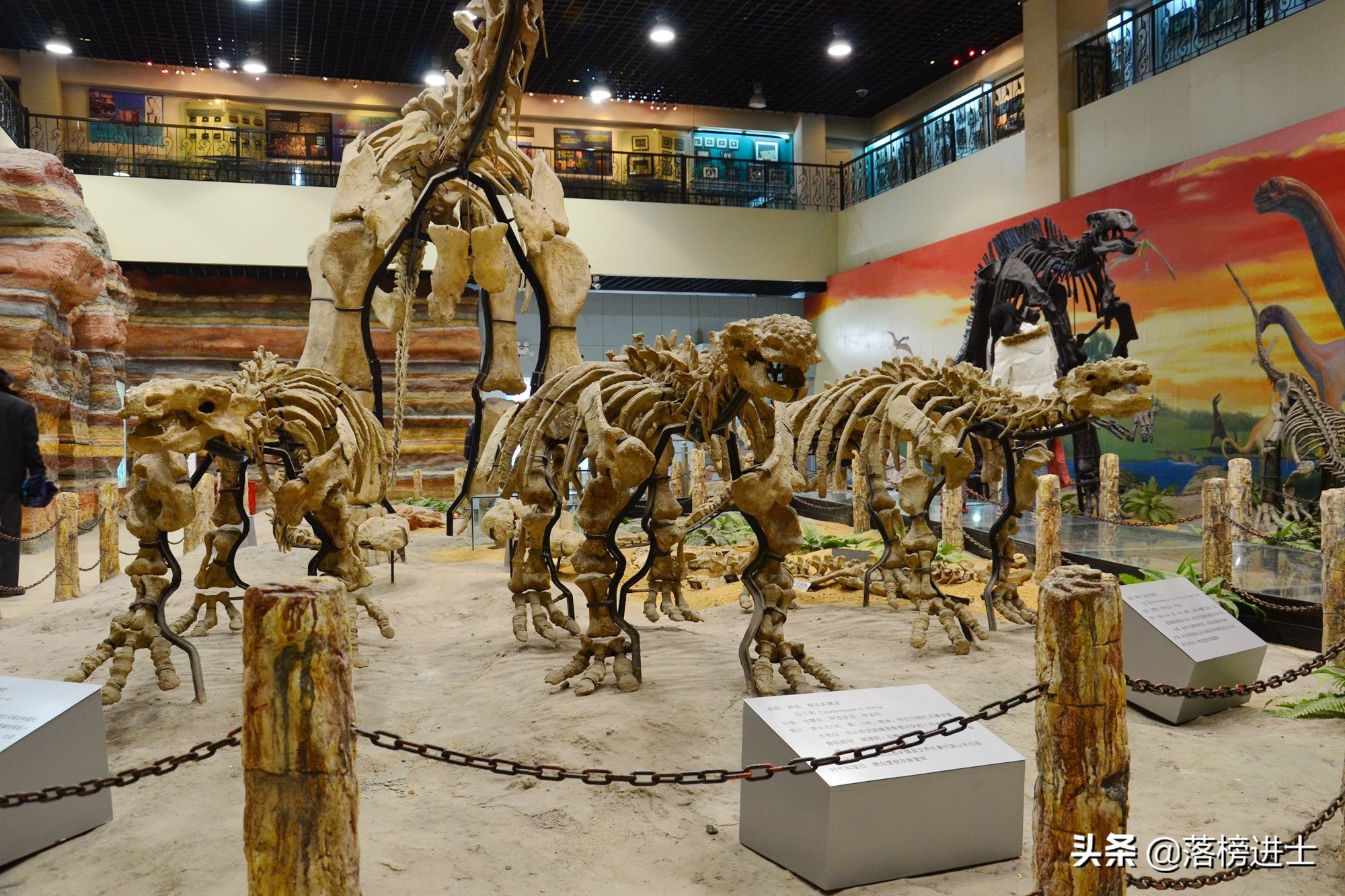 石家庄哪个博物馆里有恐龙化石,石家庄博物馆里有恐龙化石吗