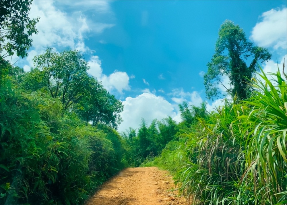我的大柴切，居家旅行都能胜任