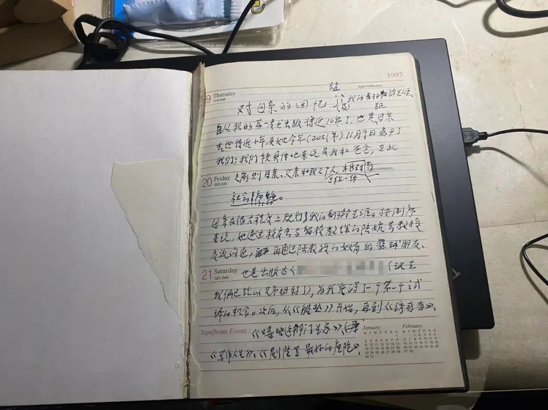 金晓宇凤凰,金晓宇身世