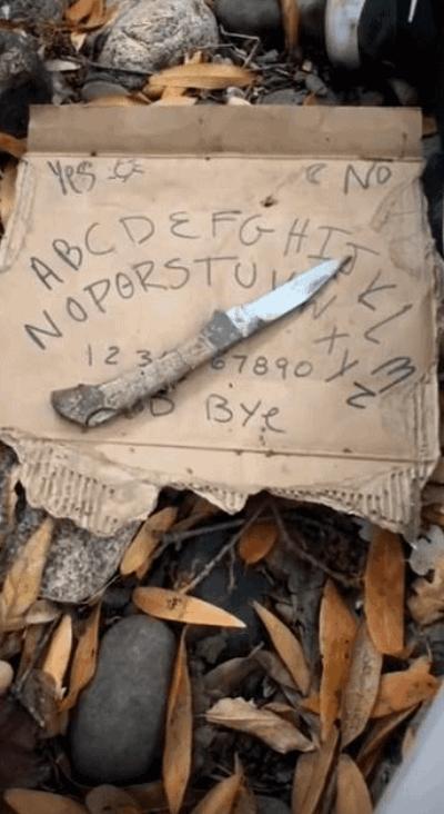 閲忓瓙鍔涘杞欢鎺ㄨ崘,閲忓瓙鍔涘杞欢