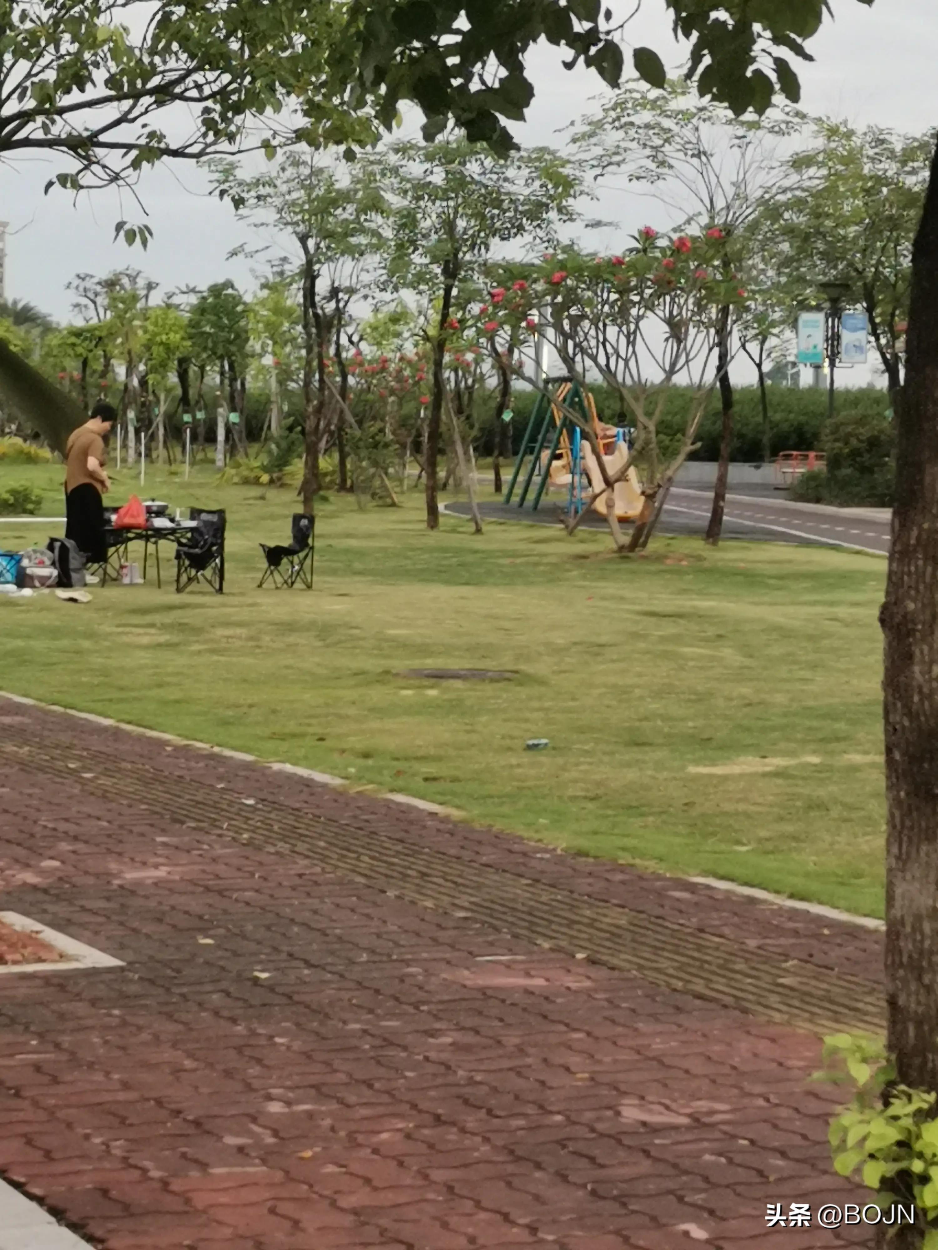 你能认出几种花来,大家能猜出什么花