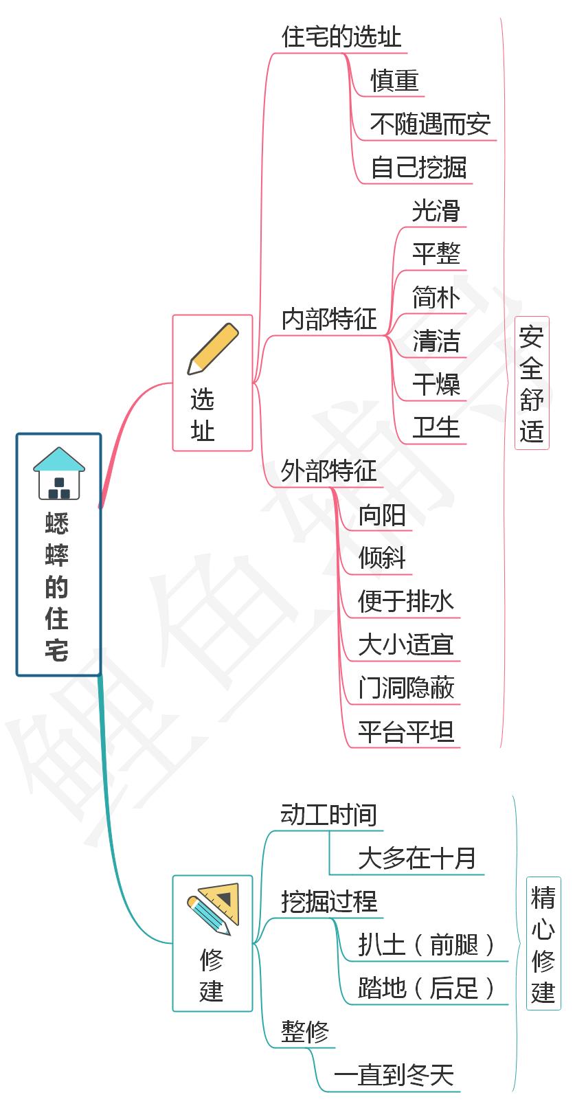 四年级语文书上册蟋蟀的住宅讲解,四年级上册蟋蟀的住宅课文讲解