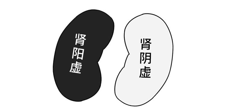 肾阳足百病消,肾阳一虚百病生