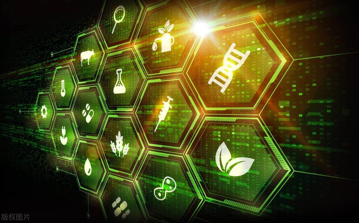 未来20年属火的行业哪个最好,全球最有前景的十大行业