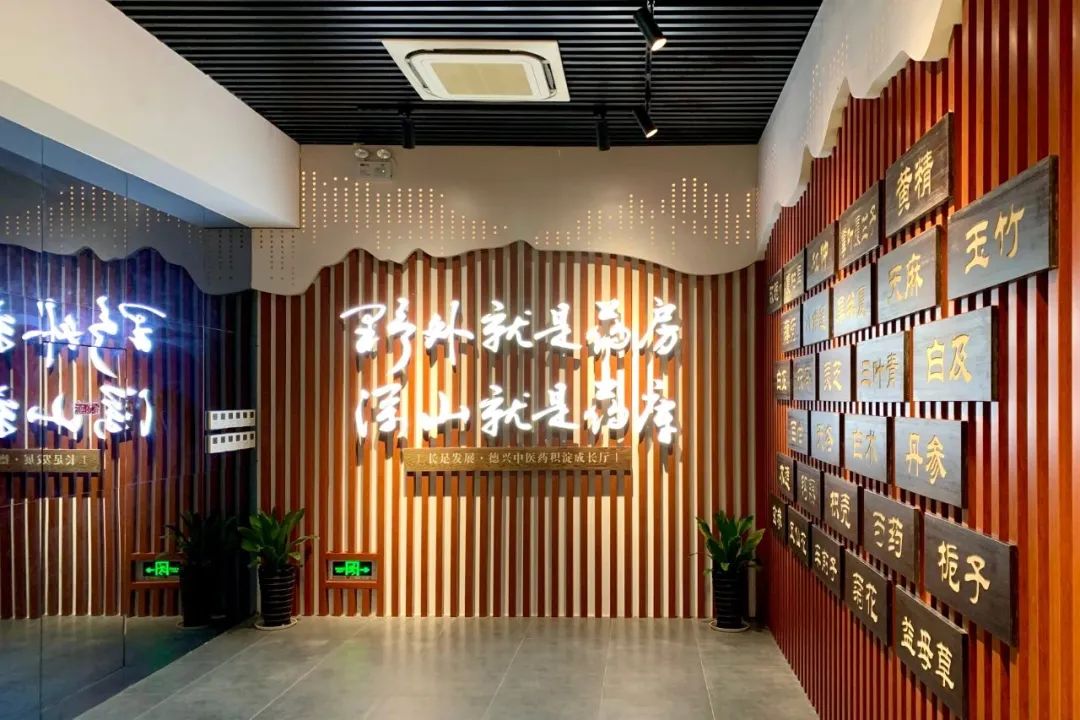 领略人文情怀感受自然美景,中医养生旅游体验