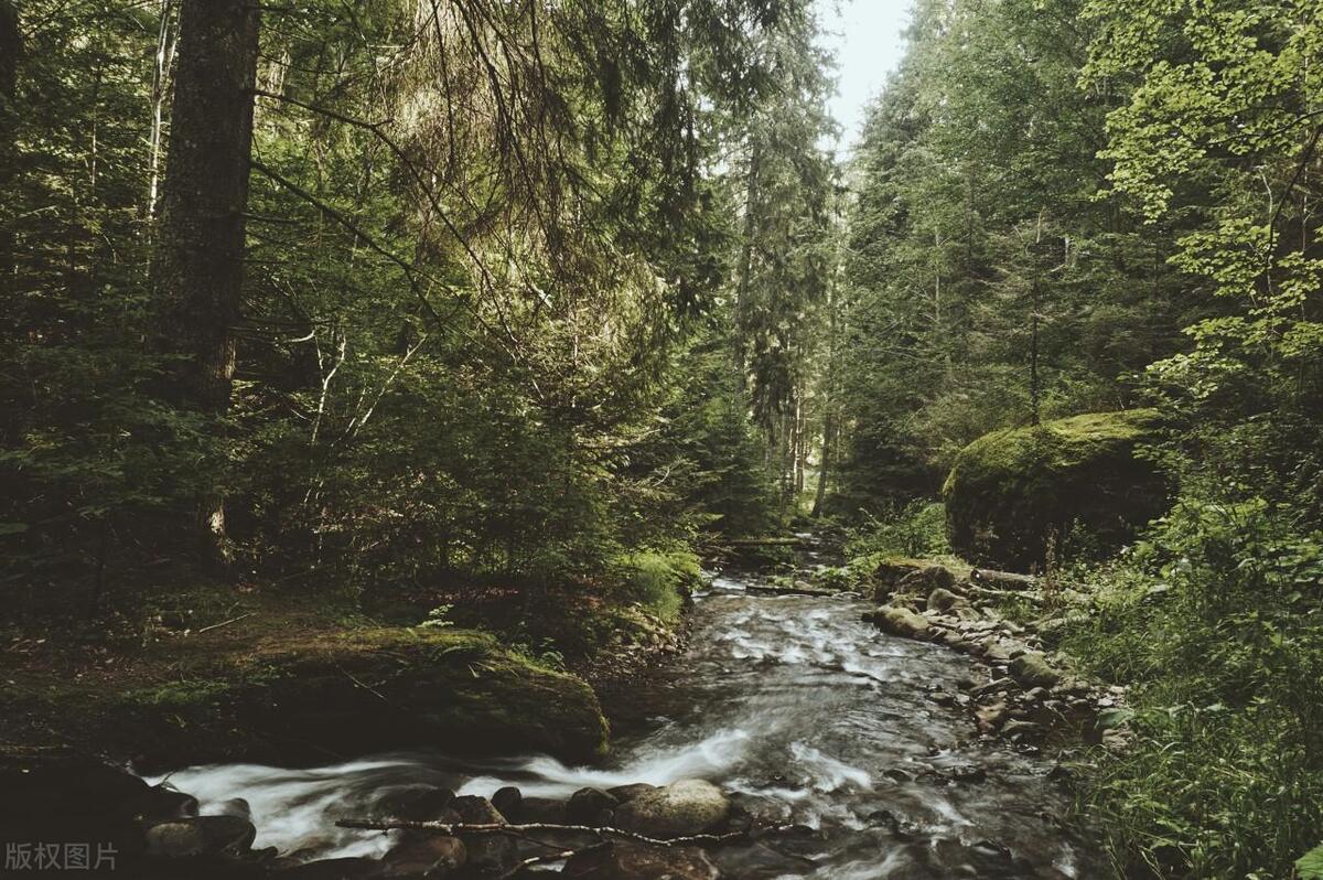 走水钓鲤鱼调漂的正确方法与技巧,崔秉亮讲解野钓走水的调漂方法