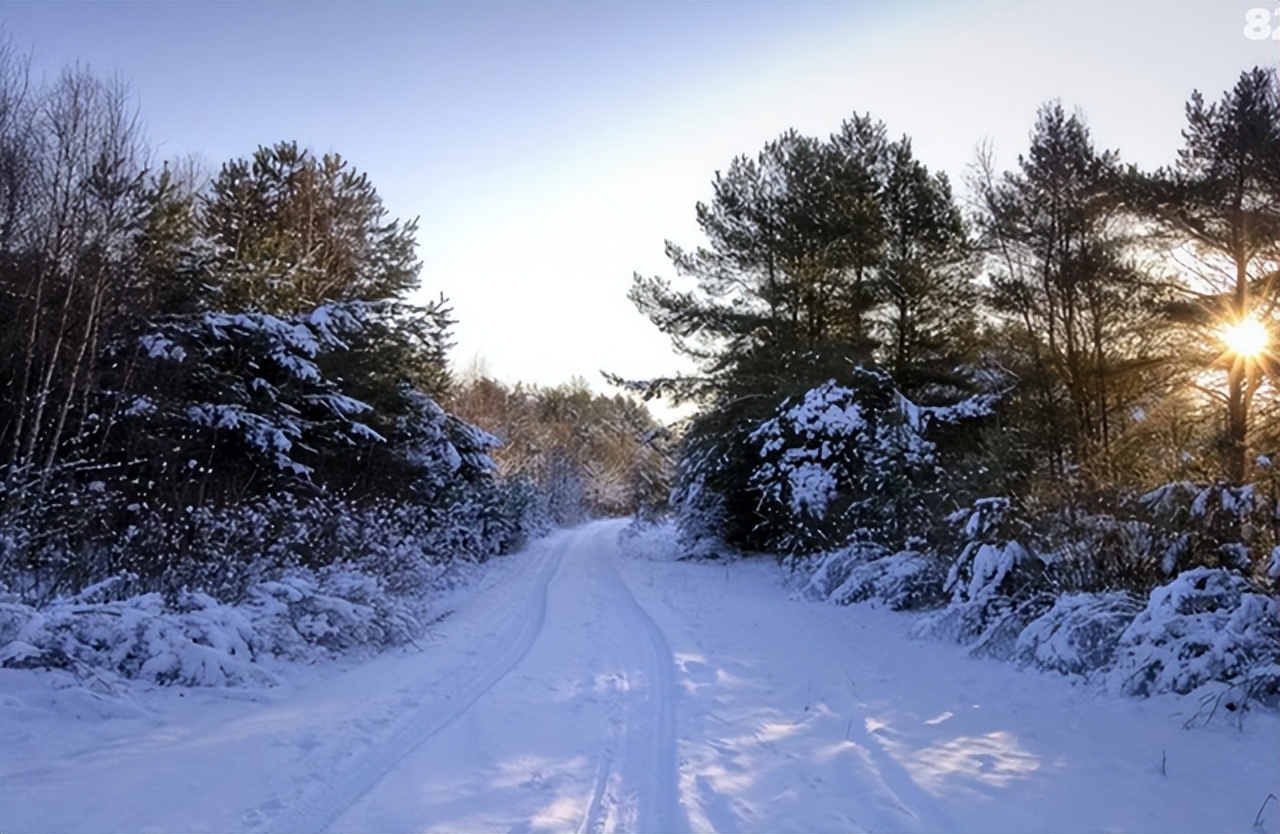 长白山的剧毒植物,长白山山里常见的有毒植物