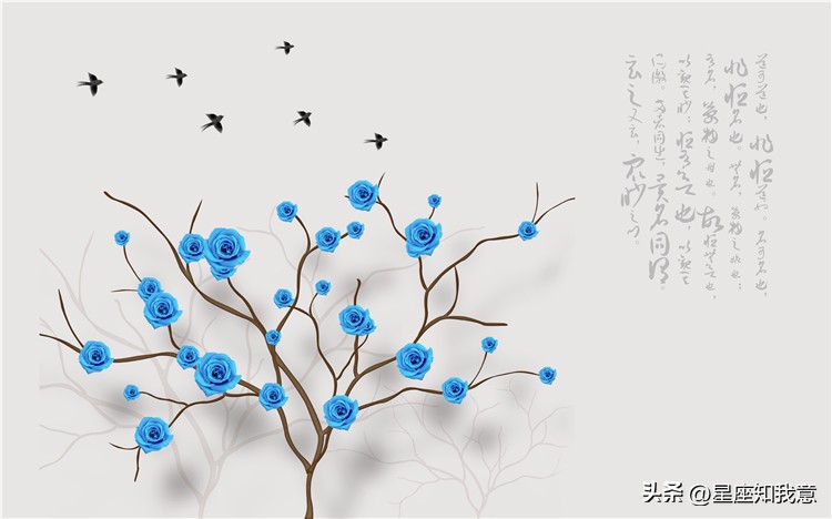 双子座女6月运势2023年,双子座2024年6月运势详解女