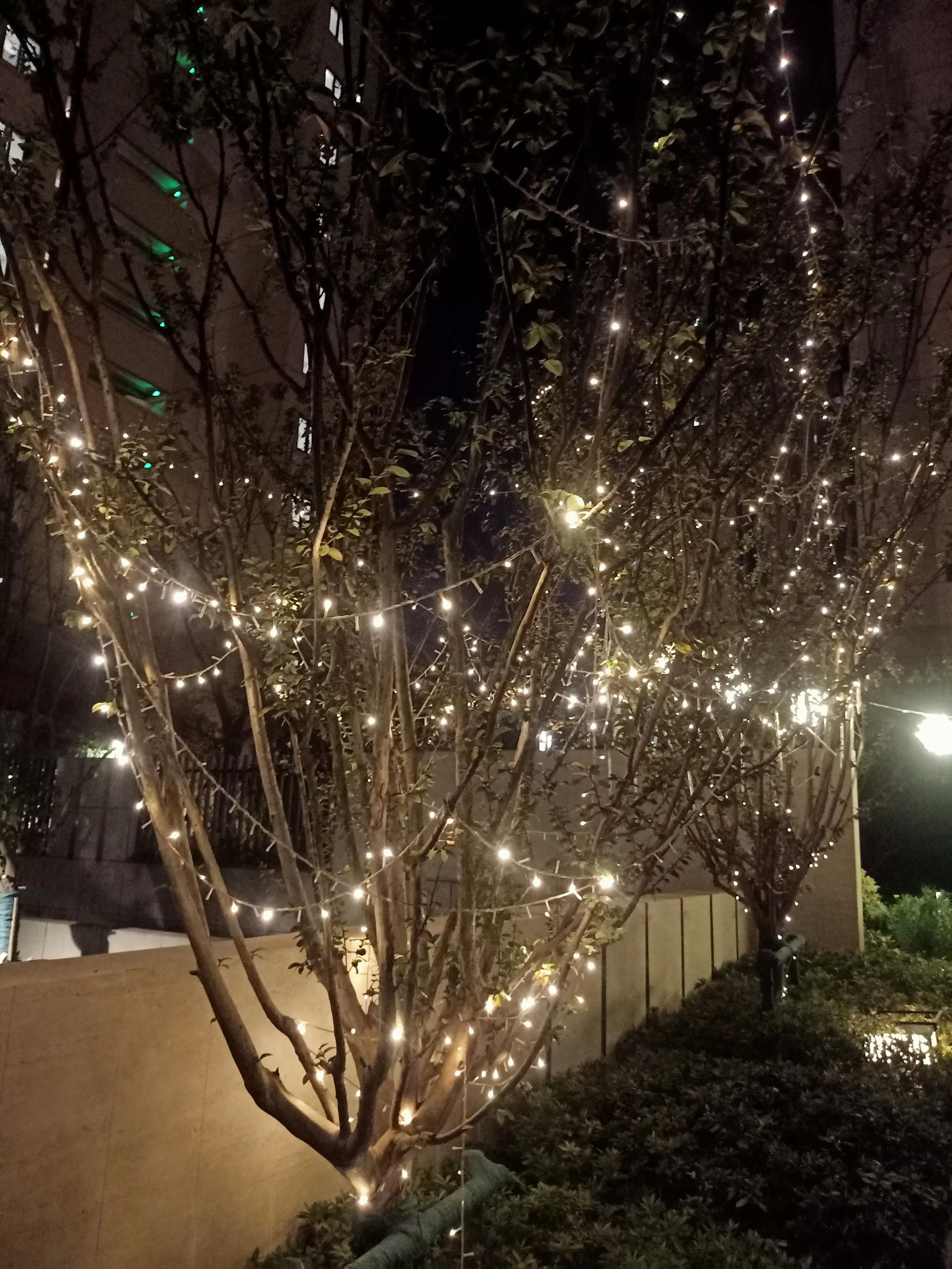 #水喝子背后的故事#传记文学