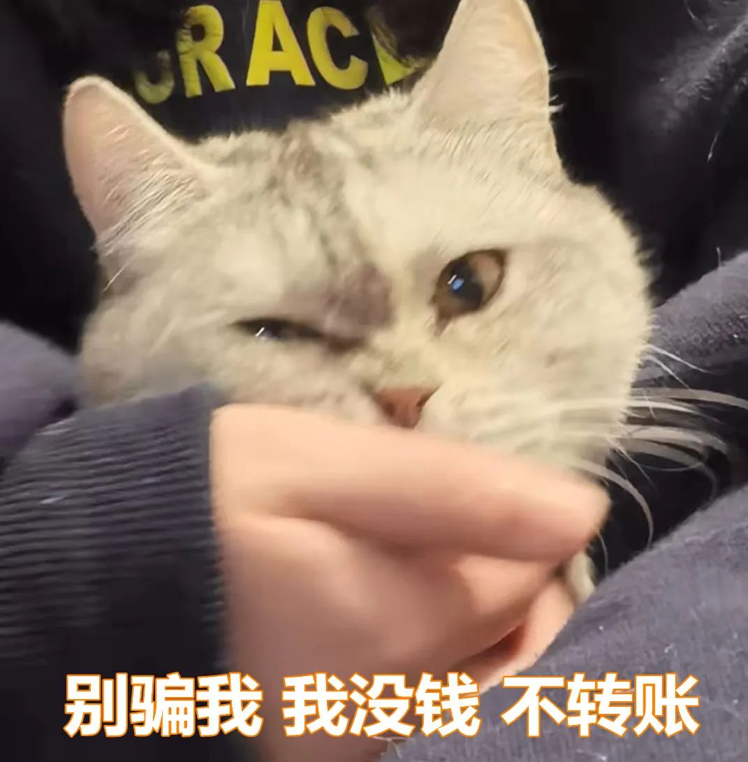 高中反电诈宣传,高考期间反电诈宣传