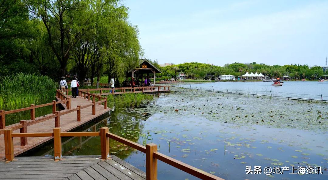 七宝板块买南还是北,七宝板块