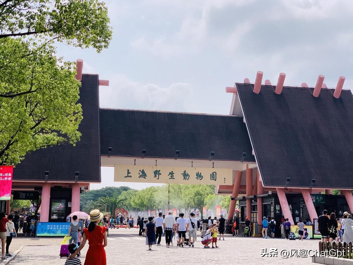 冬天上海周边城市旅游景点推荐,上海闵行区旅游景点大全排名