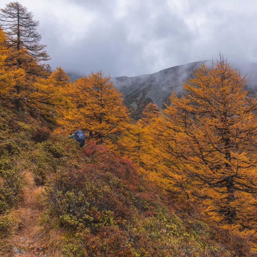 登太白山感受,太白山景区登顶拔仙台