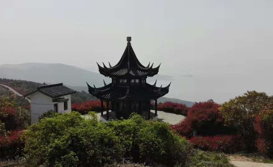 爱旅经常组织的市内登山路线，传说健康的人都去了这里......