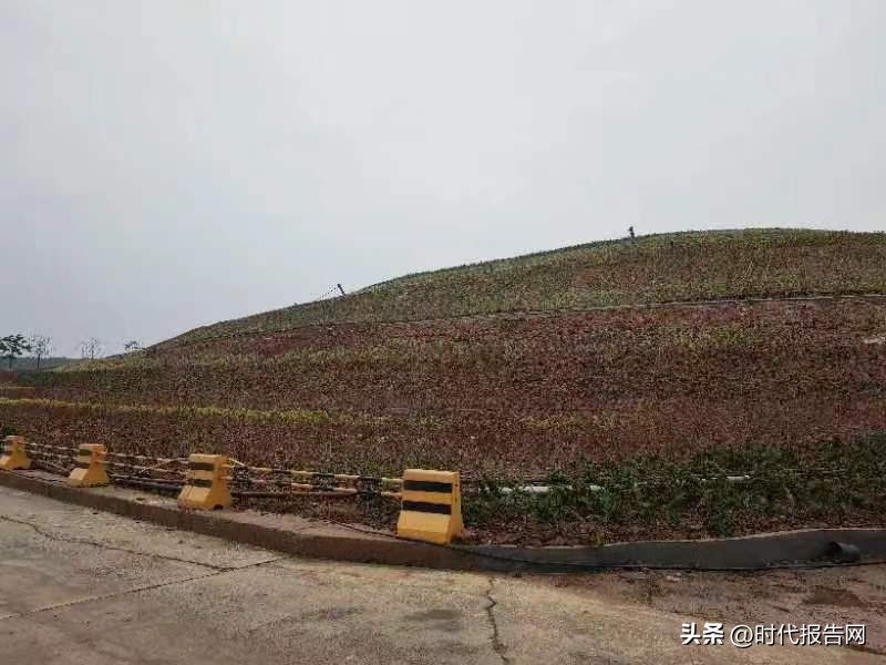 加强垃圾处理设施整治方案,开展垃圾整治提升城市环境品质