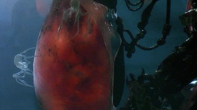 元宇宙给我们带来的影响,元宇宙对普通生活的影响