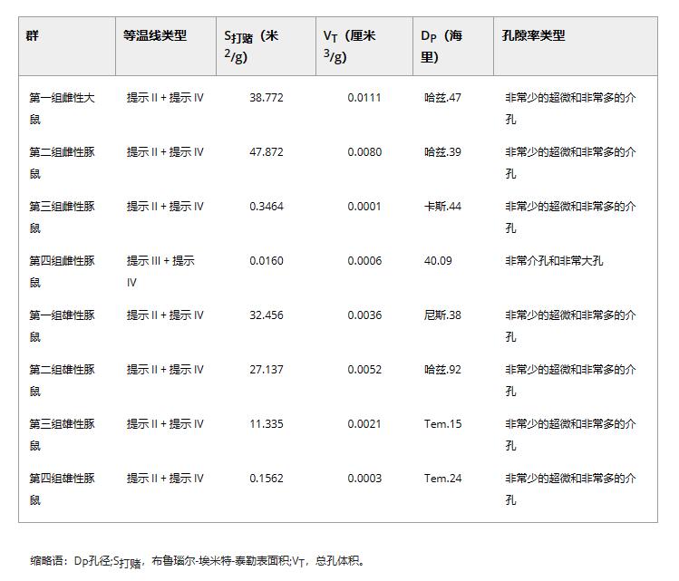 公母豚鼠体型对比,豚鼠雌雄区别