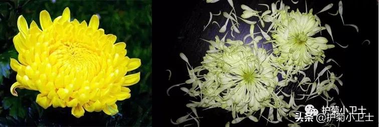 便血别担心不一定是直肠癌,便血不一定是肠癌吗