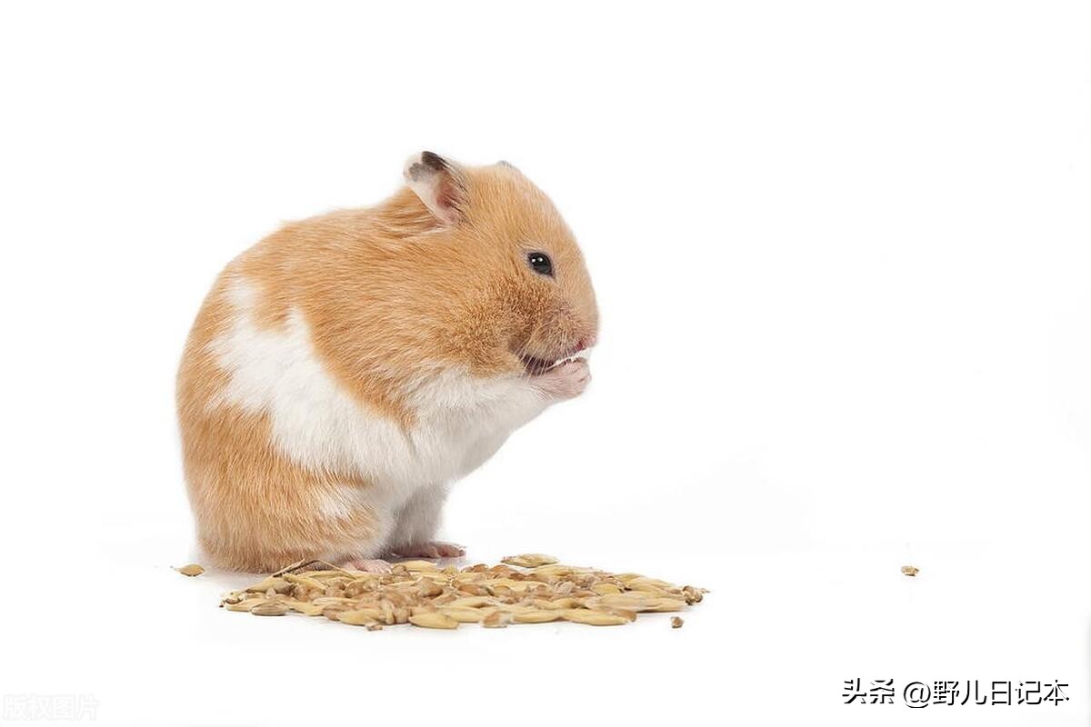 在银行当保洁的方法,去银行当保洁还需要关系吗