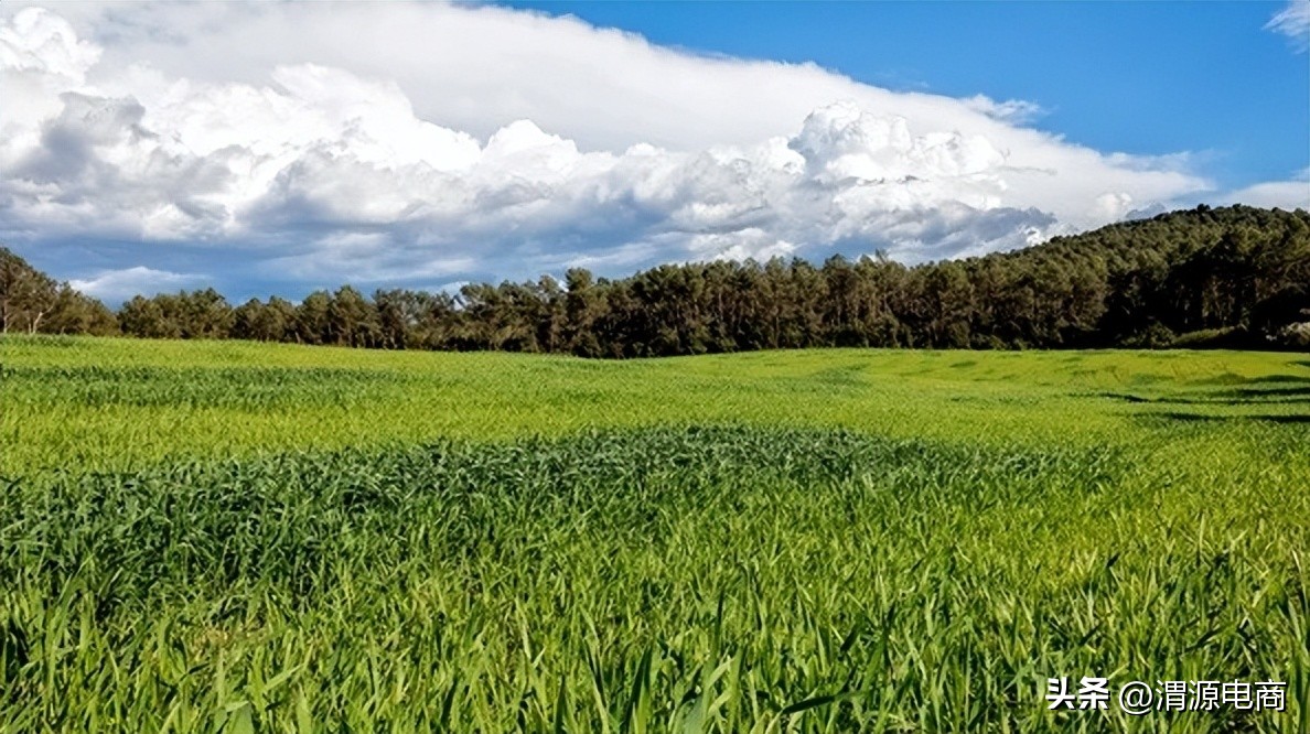 甘肃省特色农产品电商平台分析,渭源电商带动农村经济发展