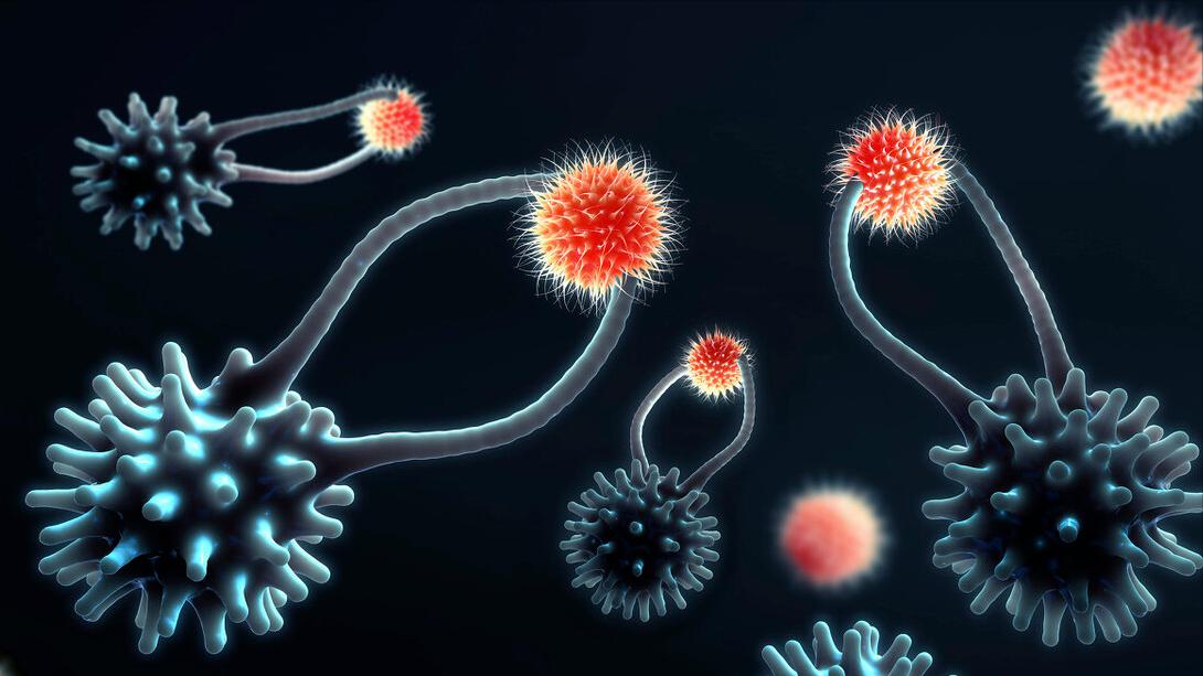 治疗肾病的西药有哪些效果好,肾病前沿治疗又有了新突破