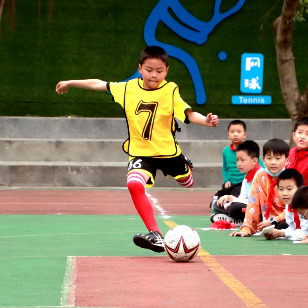 傅强老师简介,傅强老师现场直播