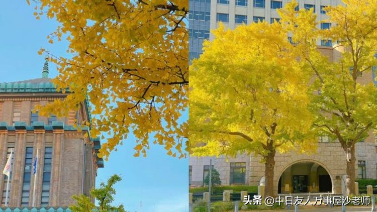 镰仓旅游拍照攻略大全图,横滨航拍全景