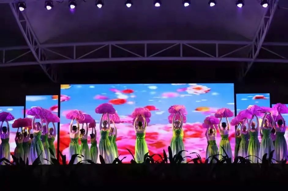 心动警报采访,心动预警作品