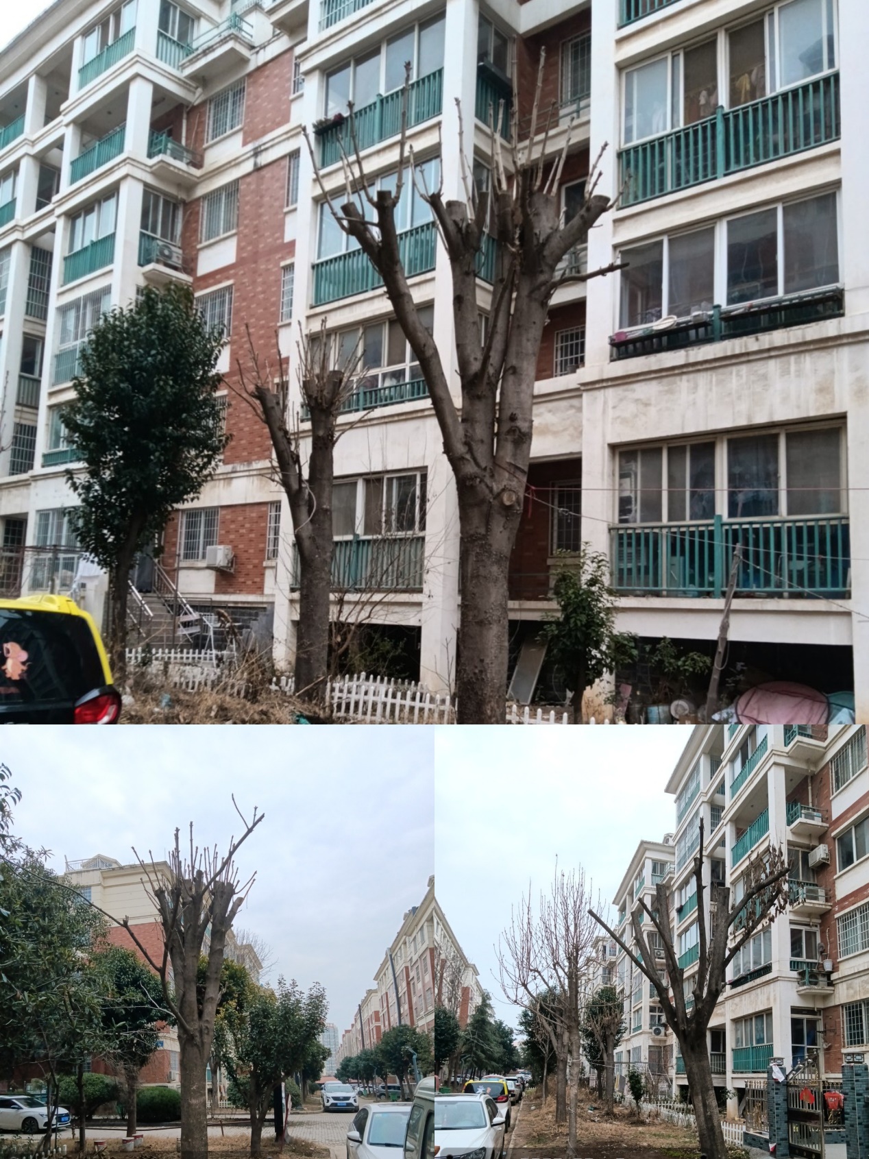 上蔡县理想城物业与业主吵架,上蔡县理想城小区物业纠纷问题