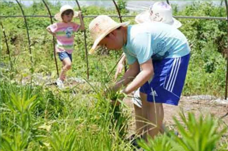 过年买给小朋友的零食礼物,致小朋友的一份礼物请查收