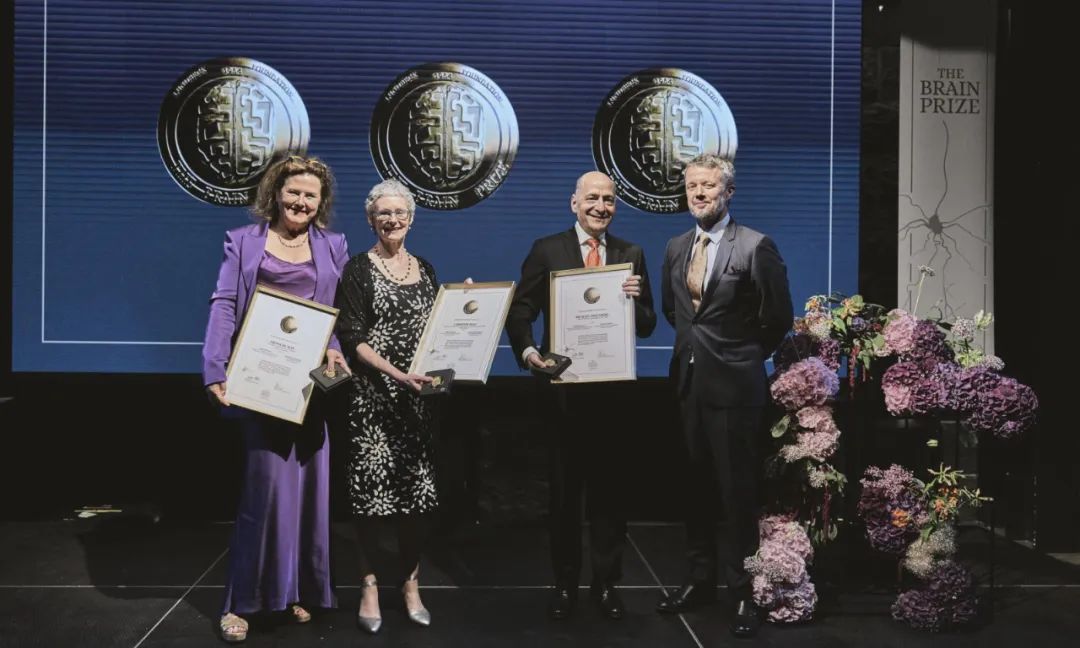 骞曞悗鑻遍泟,鐏靛寳鍒惰嵂鏁板瓧钀ラ攢