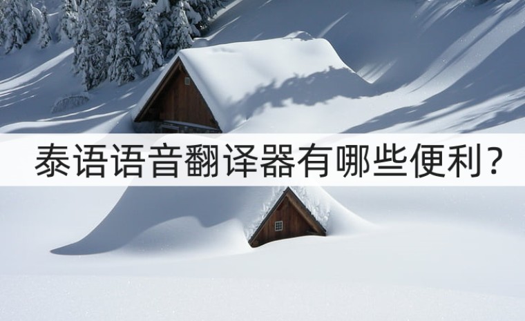 哪个翻译软件翻译泰语比较准确,泰语语音实时翻译软件