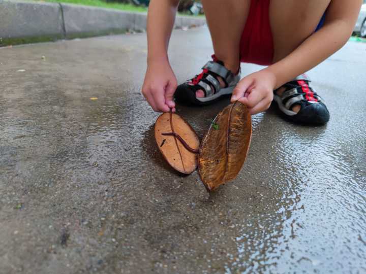 如何巧妙提问幼儿,幼儿园花式提问