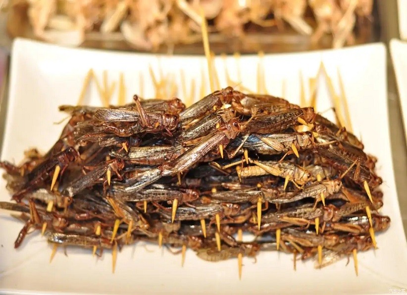 天津四大怪菜,天津经典十大名菜