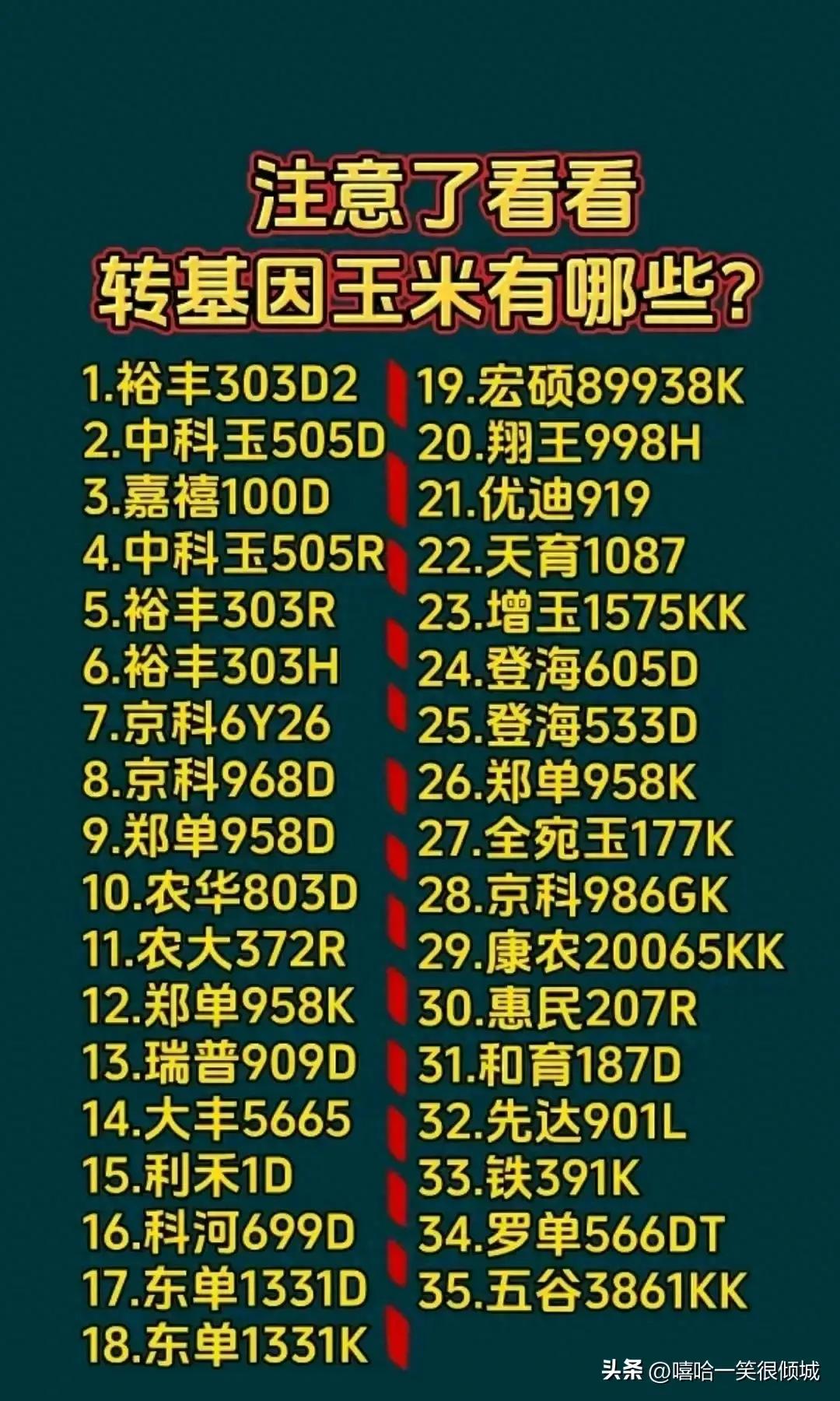 终于有人把“转基因玉米”整理好了，不知道的收藏看看