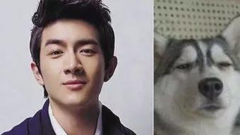 尴尬不失礼貌的微笑林更新,林更新不演戏吗