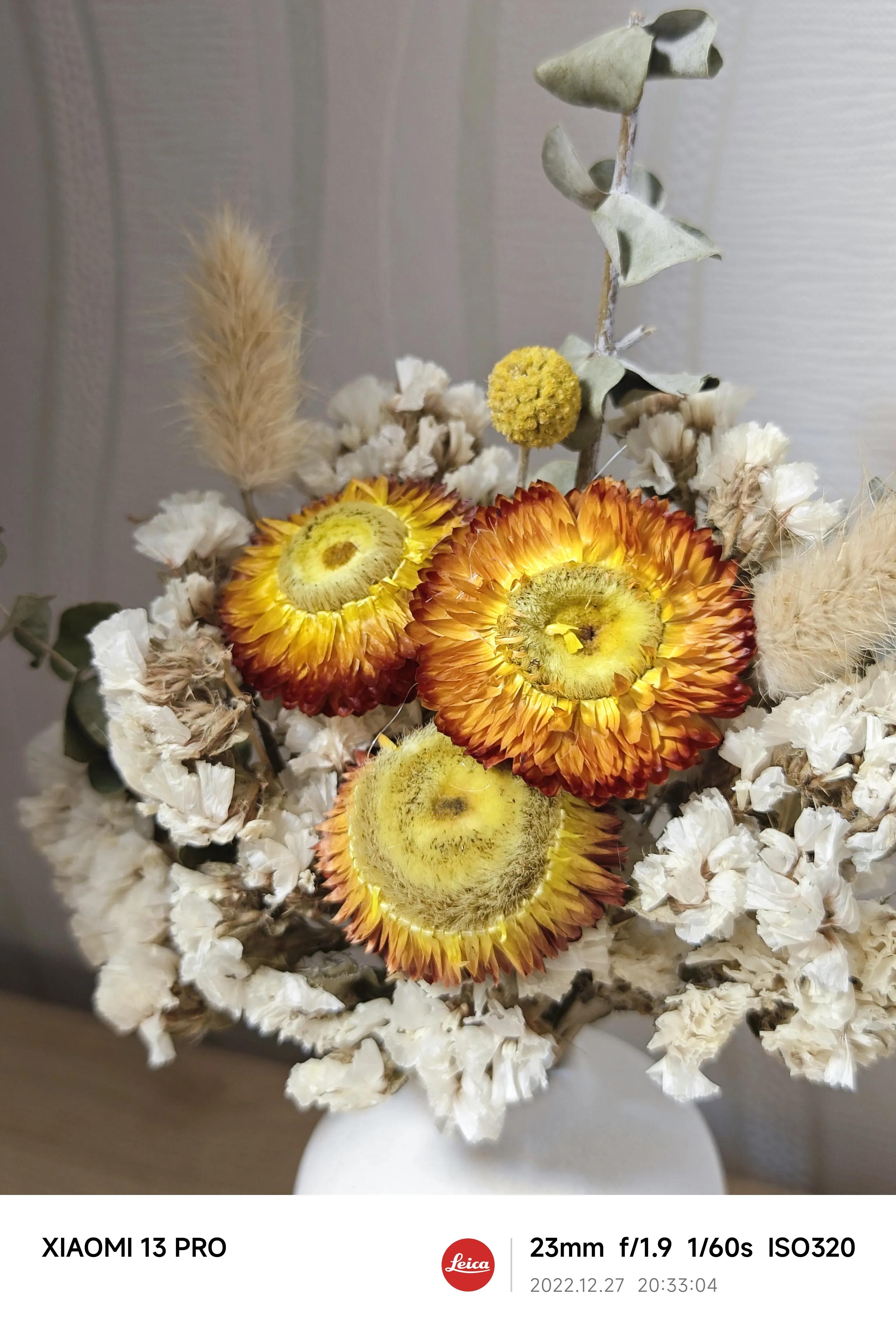 如何发挥小米13pro相机的全部性能,小米13pro拍摄用徕卡哪个好