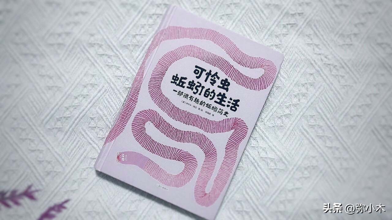 小朋友对蚯蚓的了解,蚯蚓带给孩子的乐趣