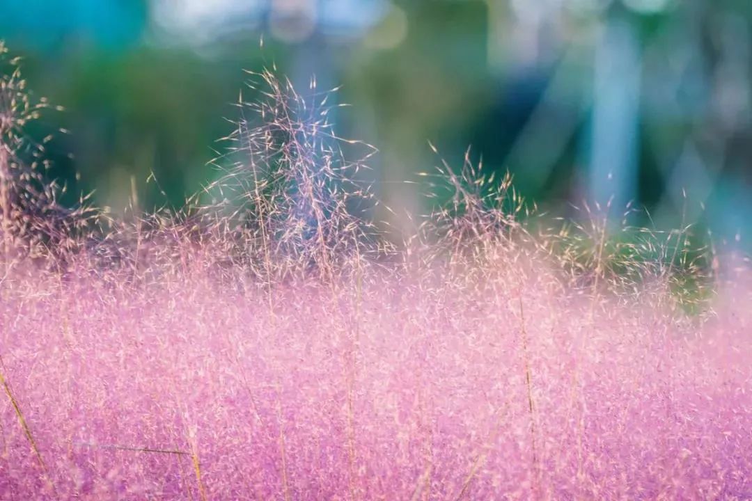 广州去广东第一峰旅游攻略,广州出发清远古龙峡两天攻略
