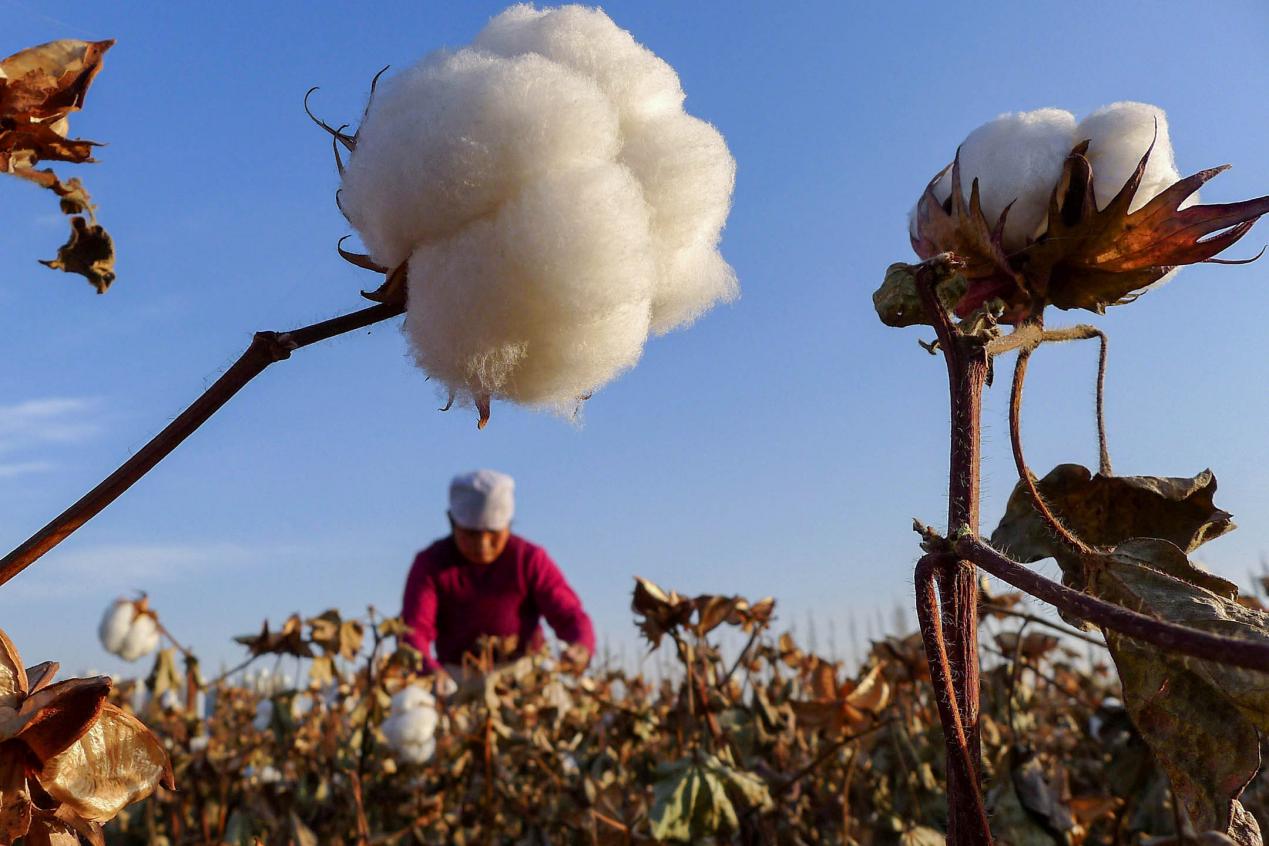 日媒采访的女游客,日媒采访日本女人