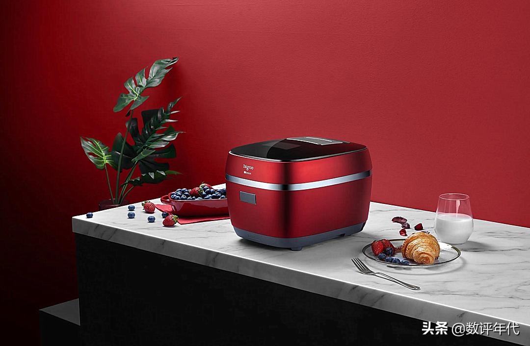 电饭煲哪一个小众品牌好,2022电饭煲十大品牌排行