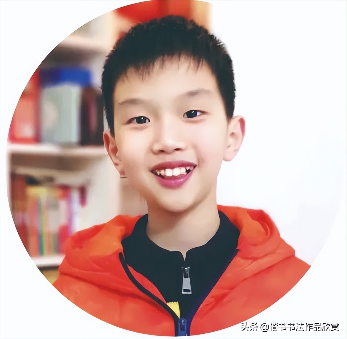 全国硬笔书法大赛作品集锦,全国首届硬笔书法大赛特等奖作品