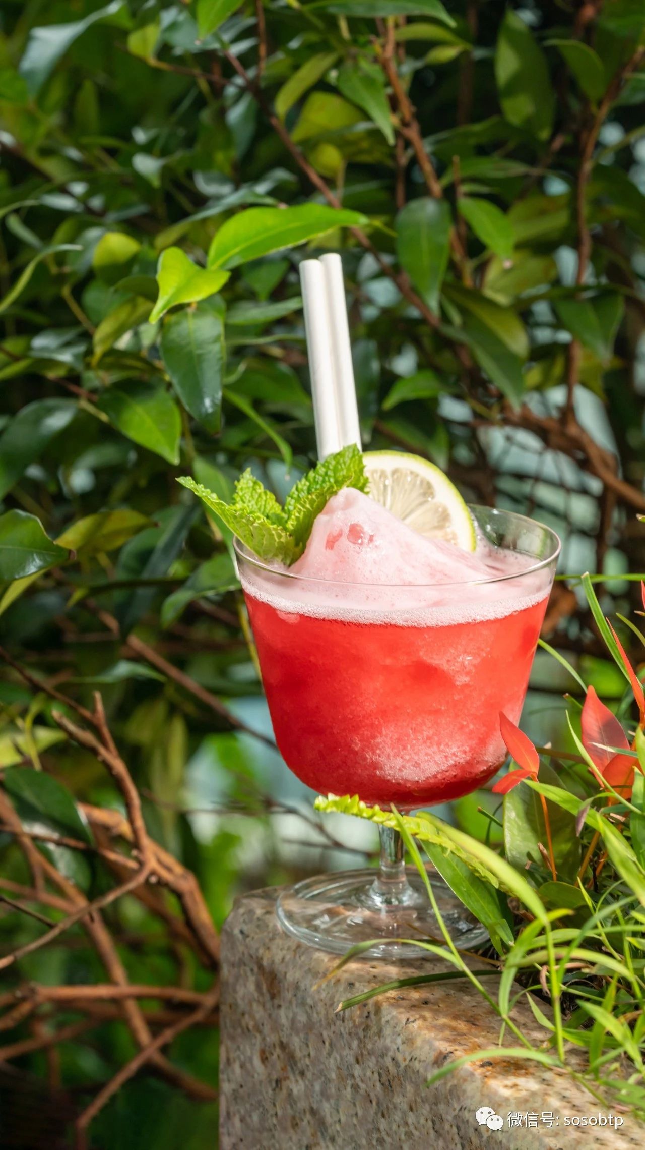 柏悦鸡尾酒,广州柏悦酒店优惠