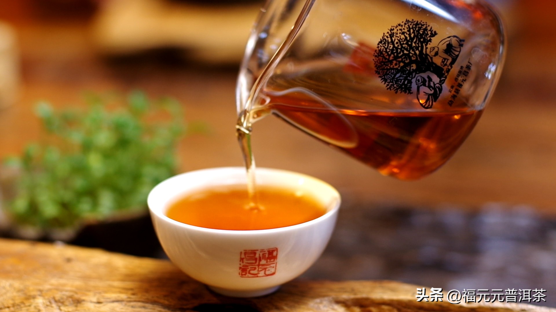 喝茶的女生有多美,为什么喝茶的女人那么美