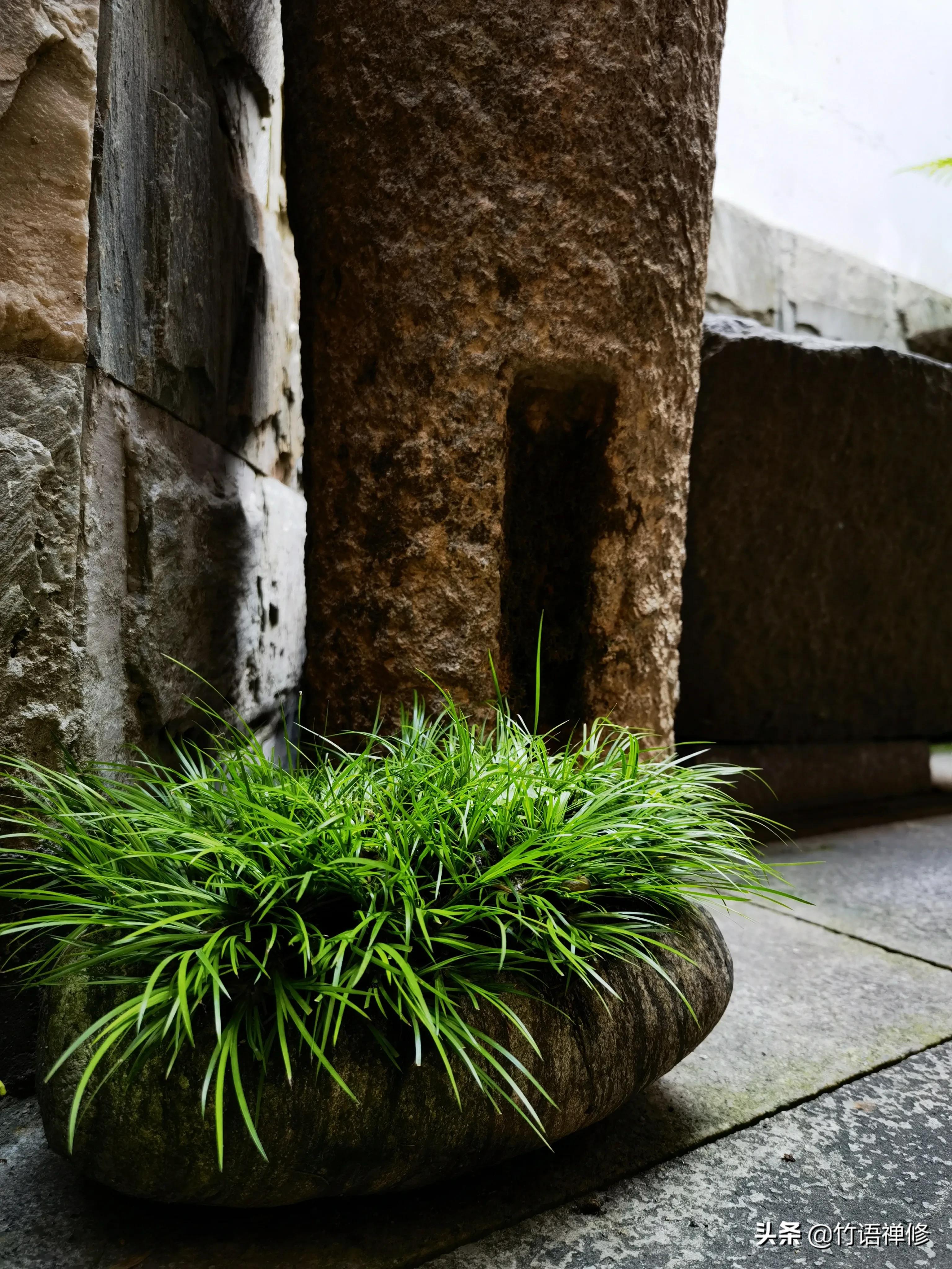 退休后理想中的农家小院,建一个小院过悠闲生活