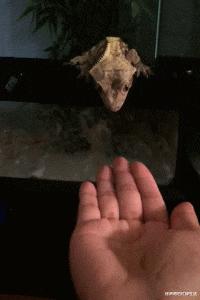 这么多年一直不明白，这键盘到底有什么用？