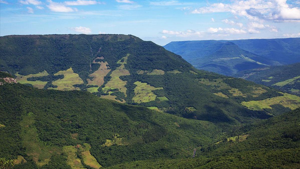 日本购买大量海外土地，累计面积已超本土3倍，究竟是何意图？