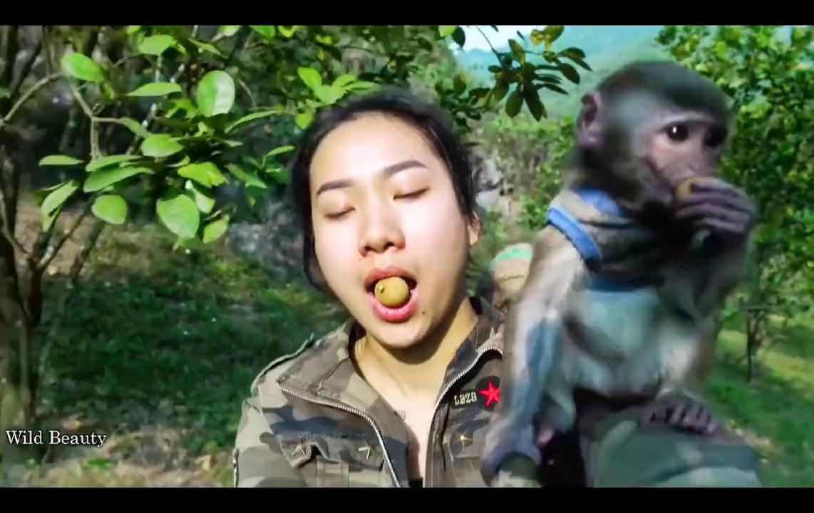 阿娇无人区剧情,阿娇挑战青蛇