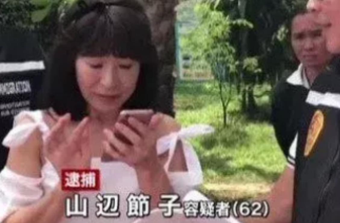 30岁大妈装19岁少女诈骗,57岁装24岁美女诈骗300万