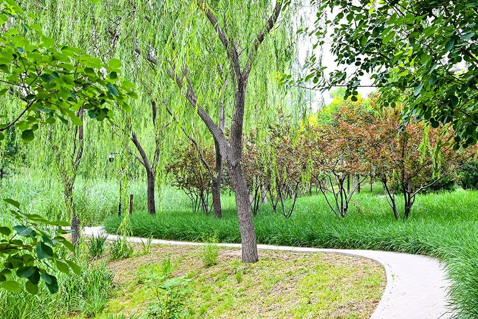 北京免费景美公园大全,北京这个公园也很美